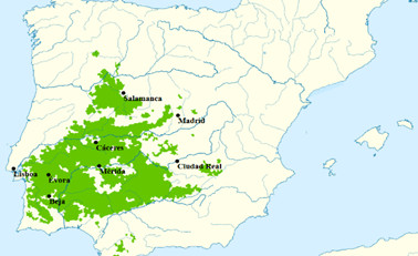 La carte de la Dehesa en Espagne