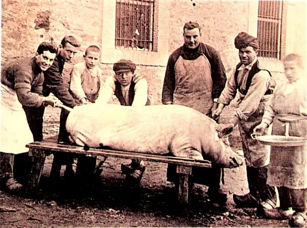 matanza